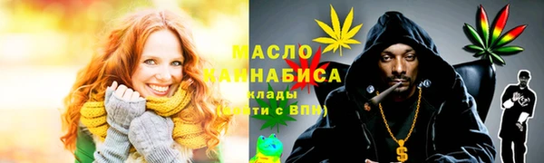 гидра Приозерск