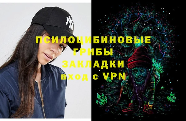 метадон Алексин