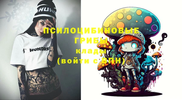 ГАЛЛЮЦИНОГЕННЫЕ ГРИБЫ Пролетарск